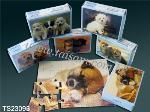 toy, plastic toy, party fun, tai sam party fun, puzzle