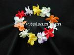 TS57005LE PLUM BLOSSOM HAWAII HAT X 12
